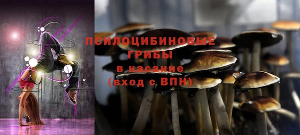 ешки Строитель