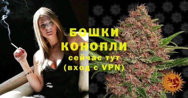 spice Ступино