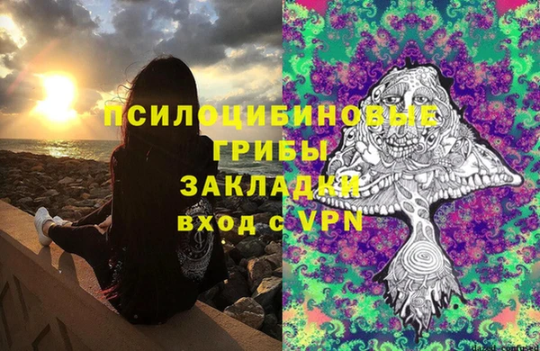 spice Ступино