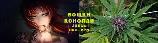 ешки Строитель