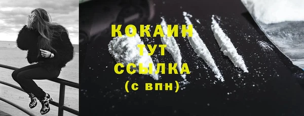 сатива Тайга